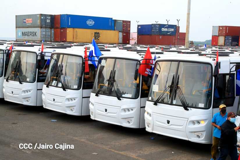 BUSES
